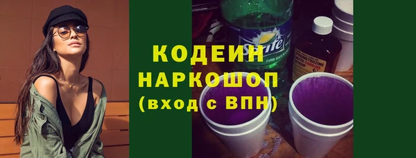 хмурый Богородск